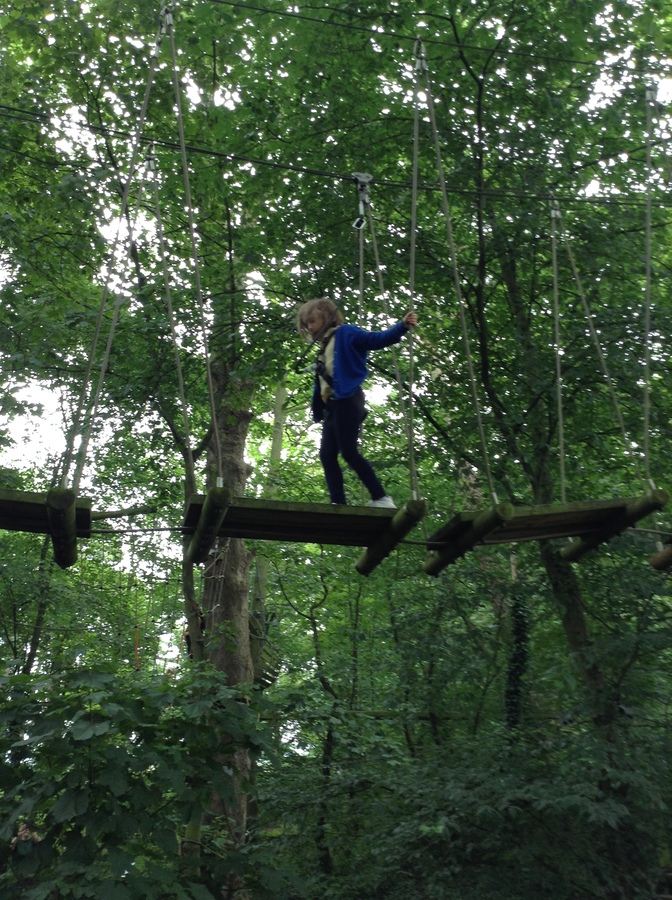 Arial Trail 2023